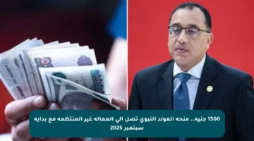 1500 جنيه.. منحة المولد النبوي تصل إلى العمالة غير المنتظمة مع بداية سبتمبر 2025